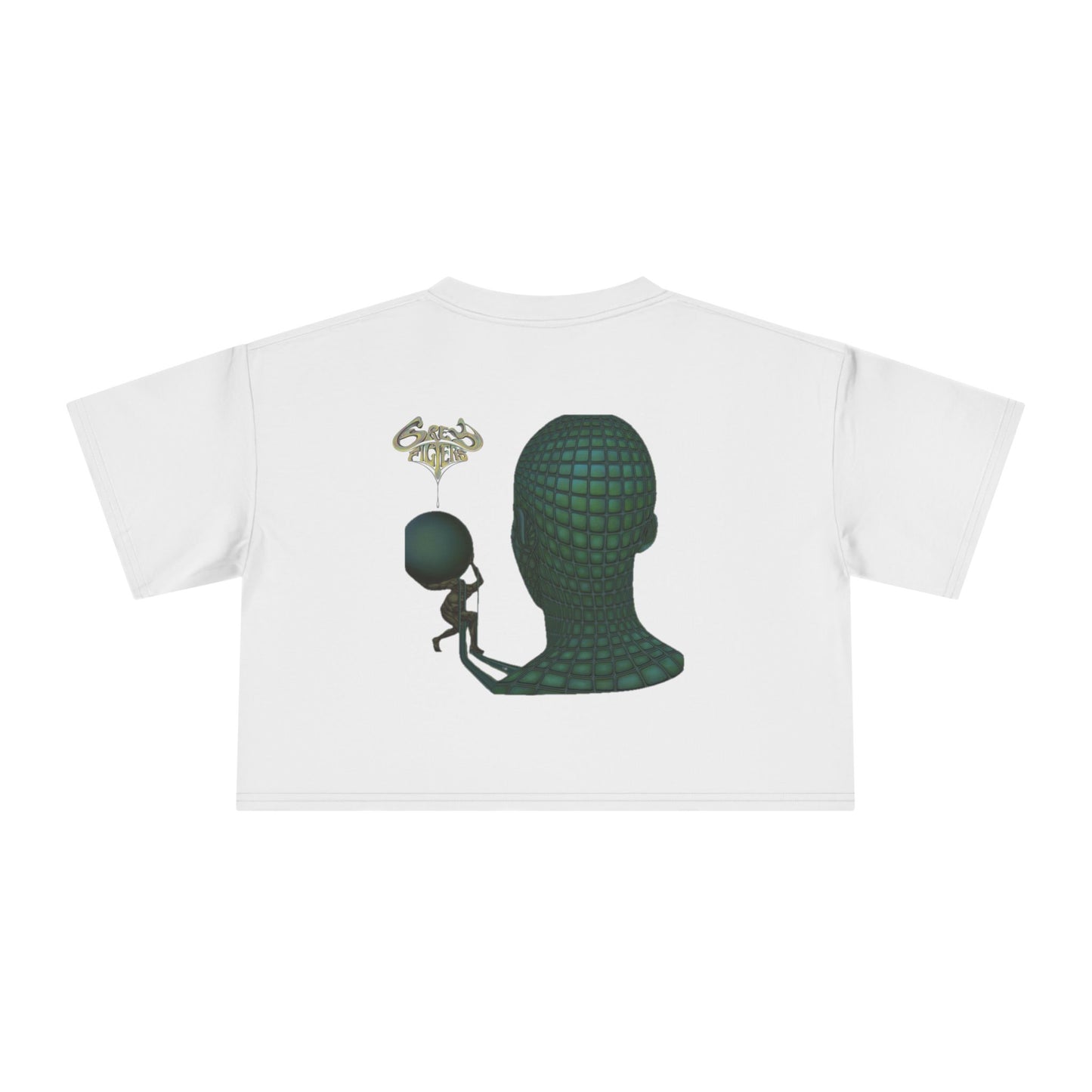Grey Filters Women's Crop Tee