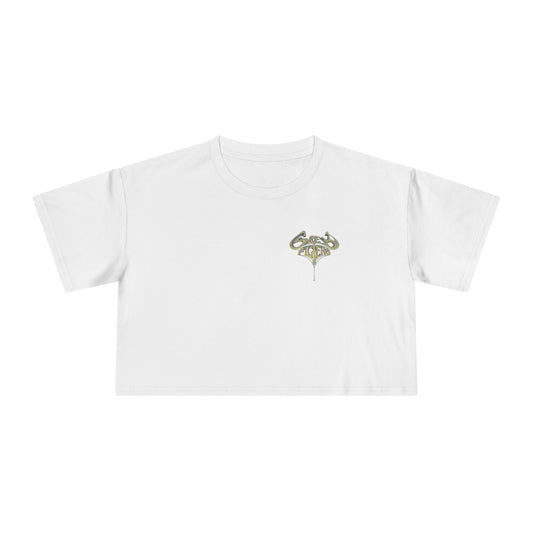 Grey Filters Women's Crop Tee