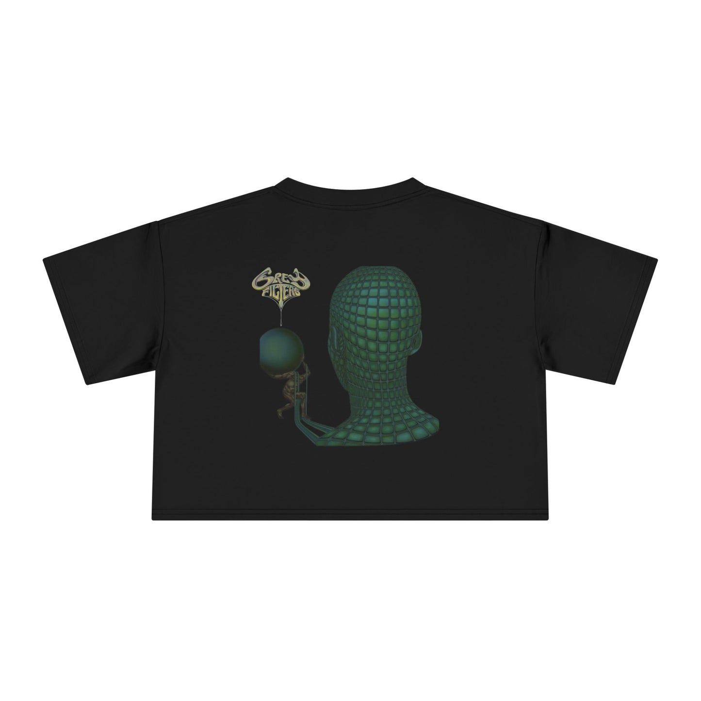 Grey Filters Women's Crop Tee